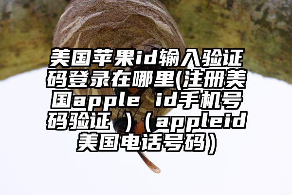美国苹果id输入验证码登录在哪里(注册美国apple id手机号码验证 )（appleid美国电话号码）