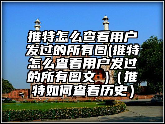 推特怎么查看用户发过的所有图(推特怎么查看用户发过的所有图文 )（推特如何查看历史）