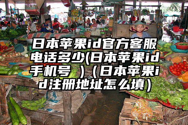 日本苹果id官方客服电话多少(日本苹果id手机号 )（日本苹果id注册地址怎么填）