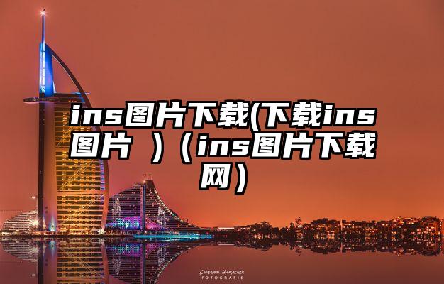 ins图片下载(下载ins图片 )（ins图片下载网）