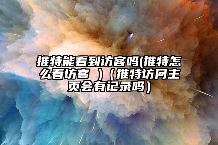 推特能看到访客吗(推特怎么看访客 )（推特访问主页会有记录吗）