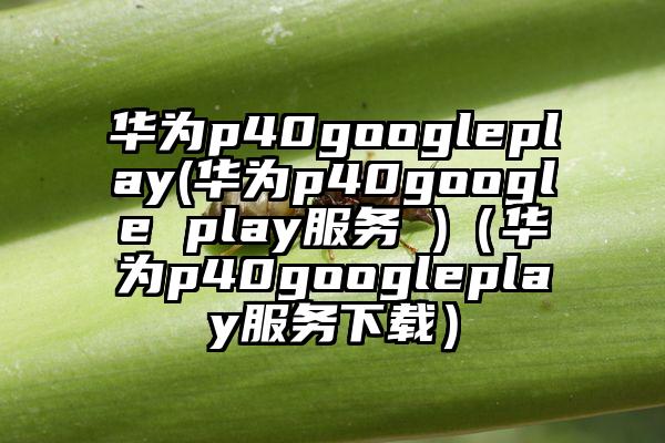 华为p40googleplay(华为p40google play服务 )（华为p40googleplay服务下载）