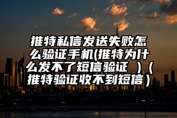 推特私信发送失败怎么验证手机(推特为什么发不了短信验证 )（推特验证收不到短信）
