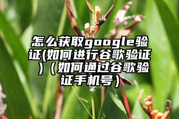 怎么获取google验证(如何进行谷歌验证 )（如何通过谷歌验证手机号）