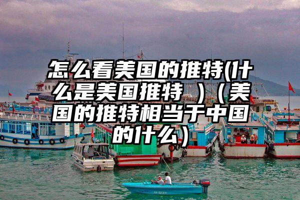 怎么看美国的推特(什么是美国推特 )（美国的推特相当于中国的什么）
