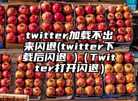 twitter加载不出来闪退(twitter下载后闪退 )（Twitter打开闪退）