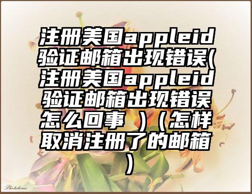 注册美国appleid验证邮箱出现错误(注册美国appleid验证邮箱出现错误怎么回事 )（怎样取消注册了的邮箱）