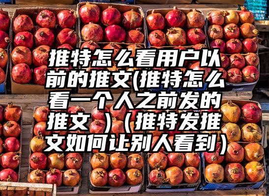 推特怎么看用户以前的推文(推特怎么看一个人之前发的推文 )（推特发推文如何让别人看到）