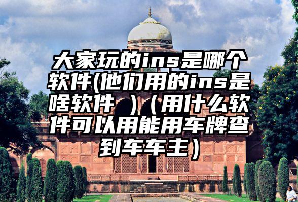 大家玩的ins是哪个软件(他们用的ins是啥软件 )（用什么软件可以用能用车牌查到车车主）