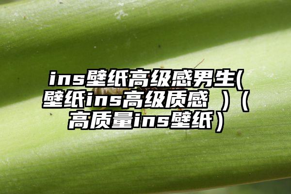 ins壁纸高级感男生(壁纸ins高级质感 )（高质量ins壁纸）
