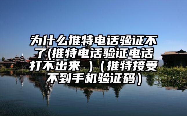 为什么推特电话验证不了(推特电话验证电话打不出来 )（推特接受不到手机验证码）