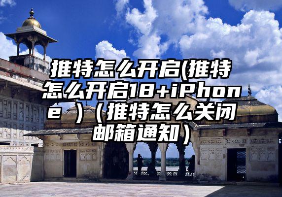 推特怎么开启(推特怎么开启18+iPhone )（推特怎么关闭邮箱通知）