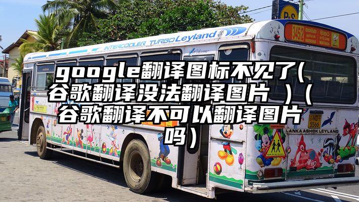 google翻译图标不见了(谷歌翻译没法翻译图片 )（谷歌翻译不可以翻译图片吗）