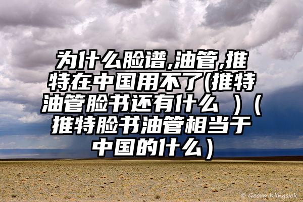 为什么脸谱,油管,推特在中国用不了(推特油管脸书还有什么 )（推特脸书油管相当于中国的什么）