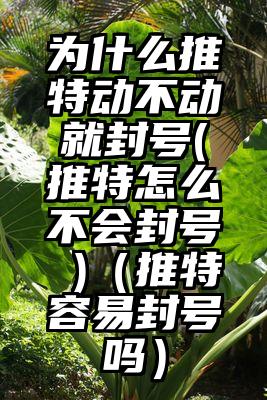 为什么推特动不动就封号(推特怎么不会封号 )（推特容易封号吗）