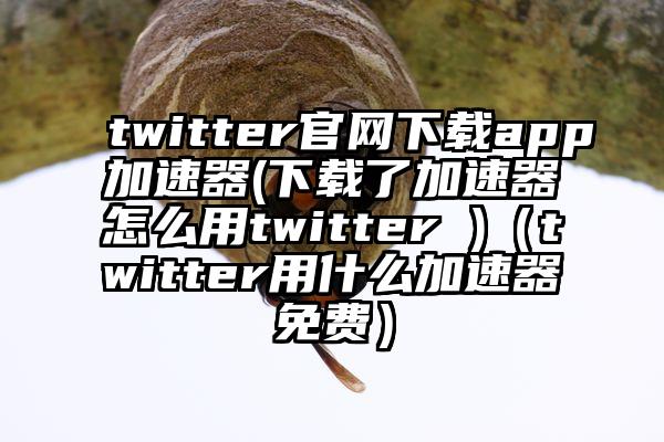 twitter官网下载app加速器(下载了加速器怎么用twitter )（twitter用什么加速器免费）