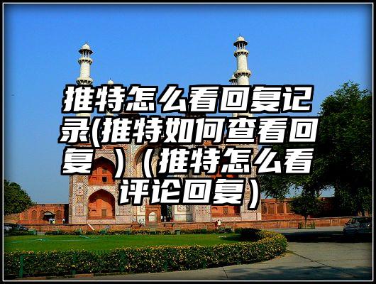 推特怎么看回复记录(推特如何查看回复 )（推特怎么看评论回复）
