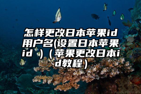 怎样更改日本苹果id用户名(设置日本苹果id )（苹果更改日本id教程）
