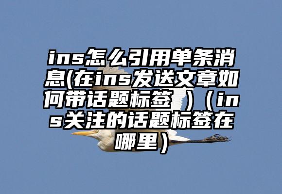 ins怎么引用单条消息(在ins发送文章如何带话题标签 )（ins关注的话题标签在哪里）