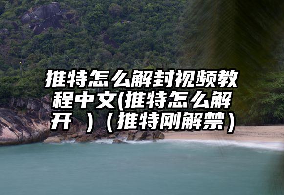 推特怎么解封视频教程中文(推特怎么解开 )（推特刚解禁）