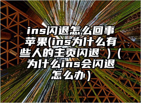 ins闪退怎么回事苹果(ins为什么有些人的主页闪退 )（为什么ins会闪退怎么办）