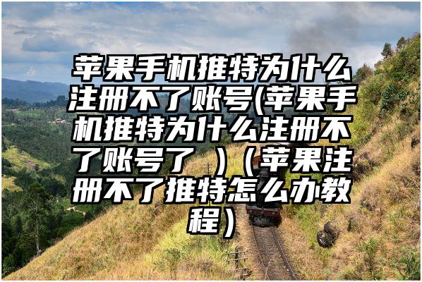 苹果手机推特为什么注册不了账号(苹果手机推特为什么注册不了账号了 )（苹果注册不了推特怎么办教程）