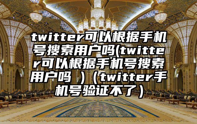 twitter可以根据手机号搜索用户吗(twitter可以根据手机号搜索用户吗 )（twitter手机号验证不了）