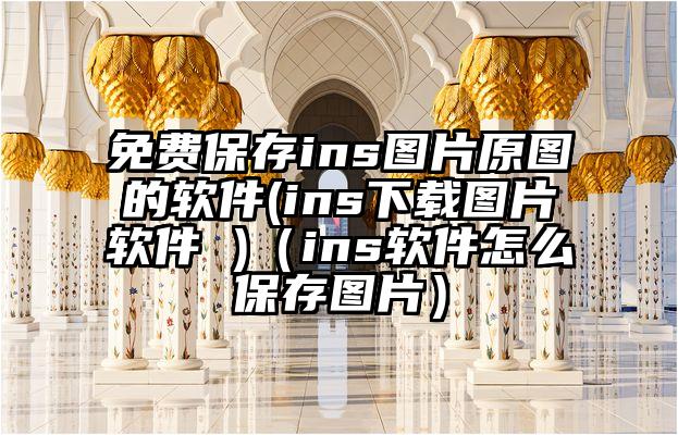 免费保存ins图片原图的软件(ins下载图片软件 )（ins软件怎么保存图片）