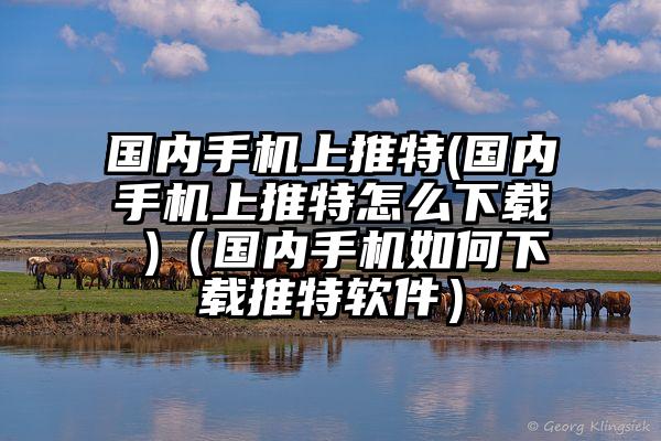 国内手机上推特(国内手机上推特怎么下载 )（国内手机如何下载推特软件）