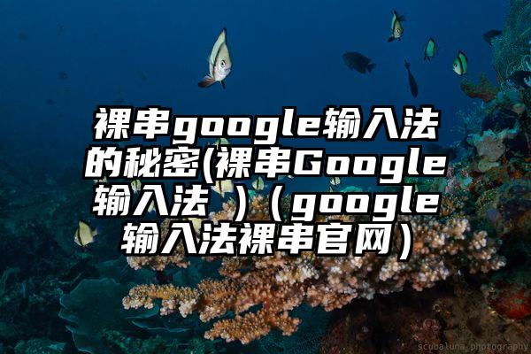 裸串google输入法的秘密(裸串Google输入法 )（google输入法裸串官网）