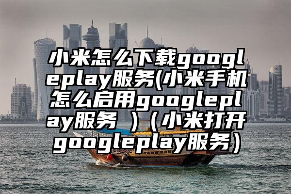 小米怎么下载googleplay服务(小米手机怎么启用googleplay服务 )（小米打开googleplay服务）