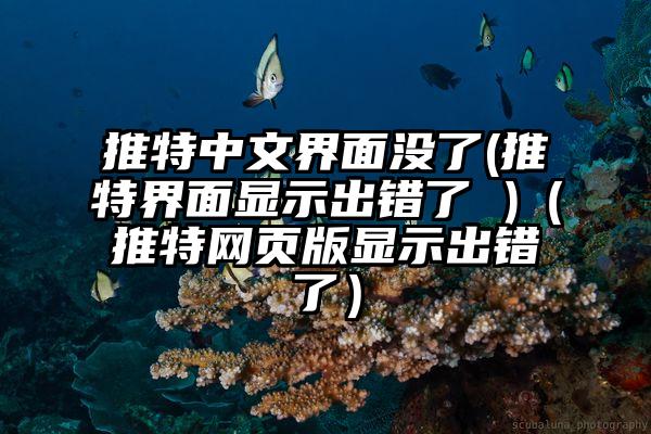 推特中文界面没了(推特界面显示出错了 )（推特网页版显示出错了）