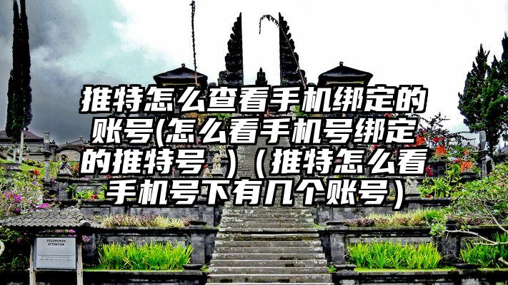 推特怎么查看手机绑定的账号(怎么看手机号绑定的推特号 )（推特怎么看手机号下有几个账号）