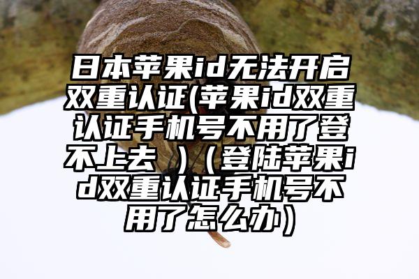 日本苹果id无法开启双重认证(苹果id双重认证手机号不用了登不上去 )（登陆苹果id双重认证手机号不用了怎么办）