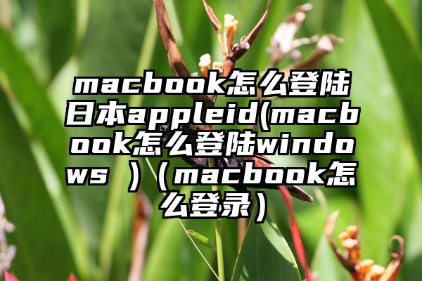 macbook怎么登陆日本appleid(macbook怎么登陆windows )(macbook怎么登录)