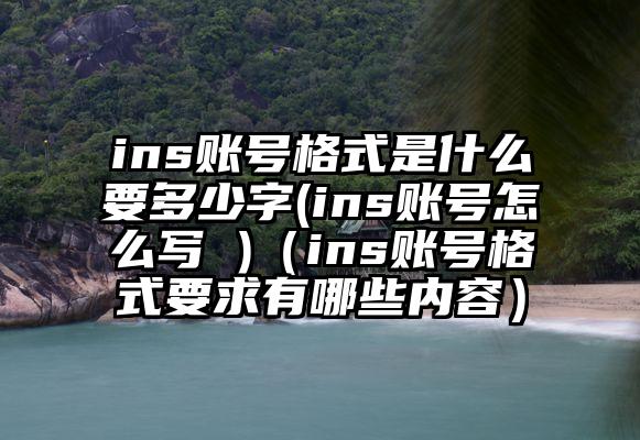 ins账号格式是什么要多少字(ins账号怎么写 )(ins账号格式要求有哪些内容)