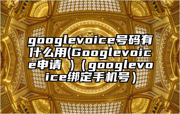 googlevoice号码有什么用(Googlevoice申请 )（googlevoice绑定手机号）