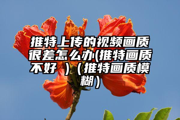 推特上传的视频画质很差怎么办(推特画质不好 )（推特画质模糊）