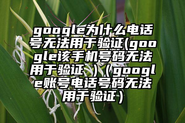 google为什么电话号无法用于验证(google该手机号码无法用于验证 )（google账号电话号码无法用于验证）