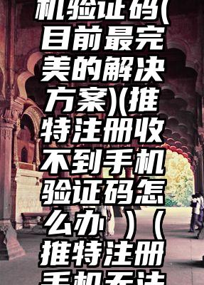 推特注册收不到手机验证码(目前最完美的解决方案)(推特注册收不到手机验证码怎么办 )（推特注册手机无法收到验证码）
