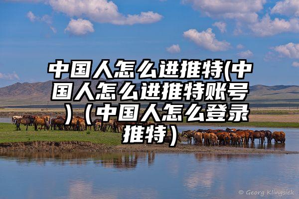 中国人怎么进推特(中国人怎么进推特账号 )（中国人怎么登录推特）