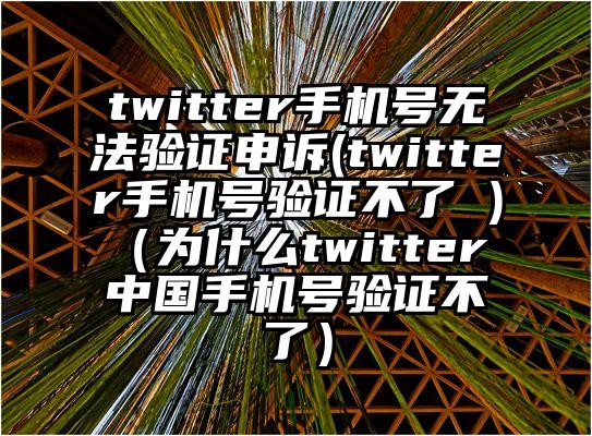 twitter手机号无法验证申诉(twitter手机号验证不了 )（为什么twitter 中国手机号验证不了）