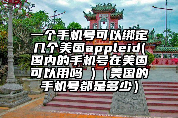 一个手机号可以绑定几个美国appleid(国内的手机号在美国可以用吗 )（美国的手机号都是多少）