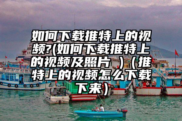 如何下载推特上的视频?(如何下载推特上的视频及照片 )（推特上的视频怎么下载下来）