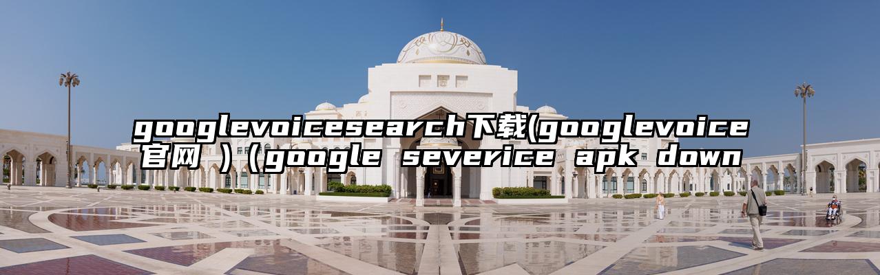 googlevoicesearch下载(googlevoice官网 )（google severice apk down