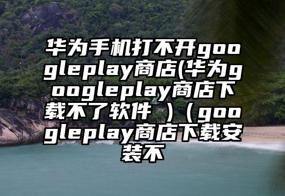 华为手机打不开googleplay商店(华为googleplay商店下载不了软件 )（googleplay商店下载安装不