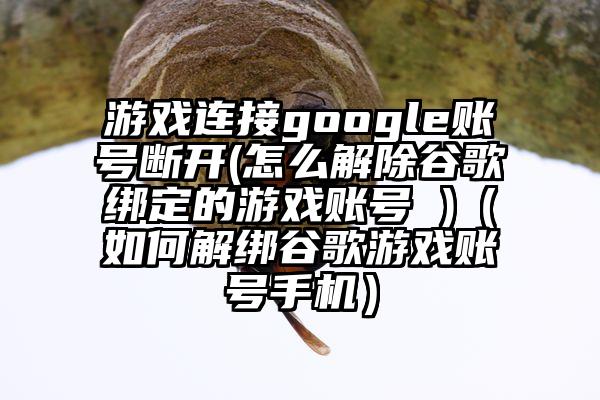 游戏连接google账号断开(怎么解除谷歌绑定的游戏账号 )（如何解绑谷歌游戏账号手机）