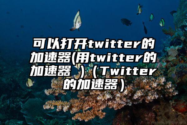 可以打开twitter的加速器(用twitter的加速器 )（Twitter的加速器）