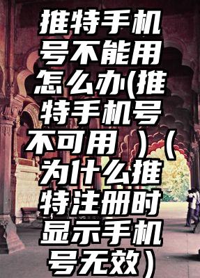 推特手机号不能用怎么办(推特手机号不可用 )（为什么推特注册时显示手机号无效）