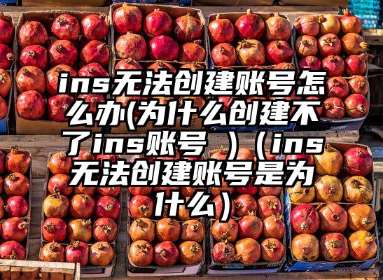 ins无法创建账号怎么办(为什么创建不了ins账号 )（ins无法创建账号是为什么）